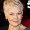 Judi Dench Photo