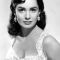 Susan Cabot Photo