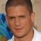 Wentworth Miller Photo