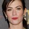 Maggie Siff Photo