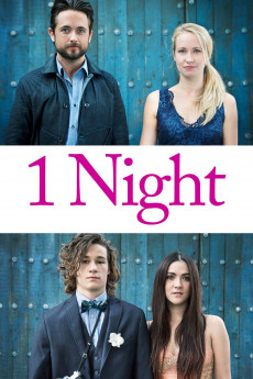 1 Night (2016) download