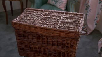 Basket Case 3 (1991) download