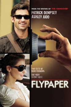 Flypaper (2011) download