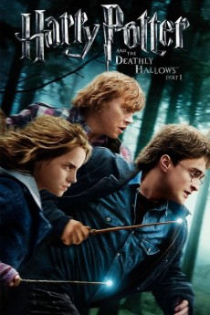 Harry Potter and the Deathly Hallows: Part 1 (2010) download