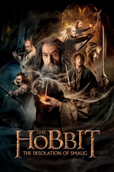 The Hobbit: The Desolation of Smaug (2013) download