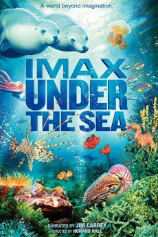 Under the Sea 3D (2009) download