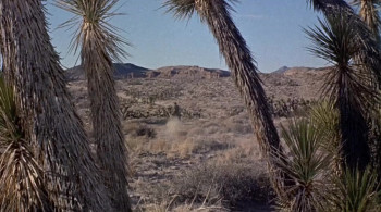 Apache Territory (1958) download