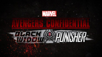 Avengers Confidential: Black Widow & Punisher (2014) download