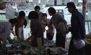 Beijing Watermelon (1989) download