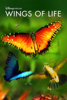 Disneynature: Wings of Life (2011) download