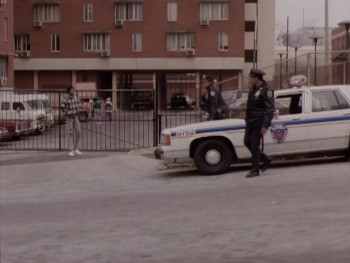 In the Line of Duty: Street War (1992) download