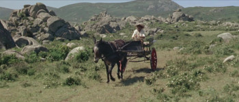 Django the Last Killer (1967) download