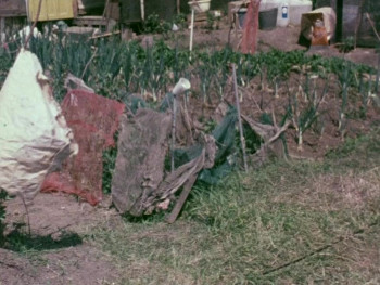 On Allotments (1976) download