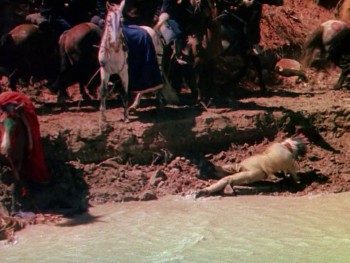 Pony Soldier (1952) download