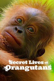 Secret Lives of Orangutans (2024) download