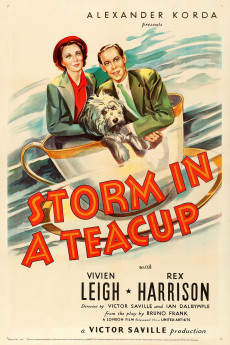 Storm in a Teacup (1937) download