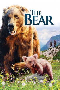 The Bear (1988) download