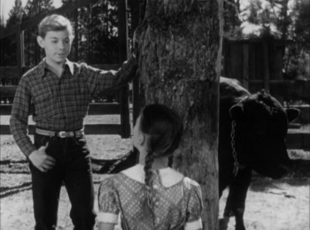 The Green Promise (1949) download