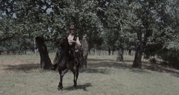 The Hunting Party (1971) download