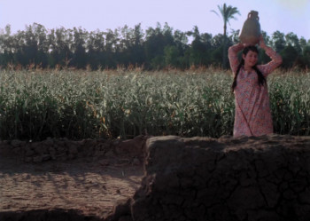 The Land (1970) download