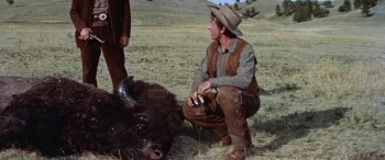 The Last Hunt (1956) download