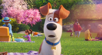 The Secret Life of Pets 2 (2019) download