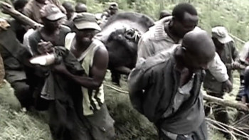 Virunga (2014) download