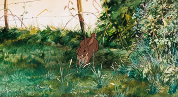 Watership Down (1978) download