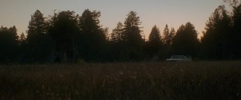 Woodshock (2017) download