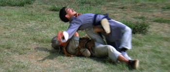 World of the Drunken Master (1979) download